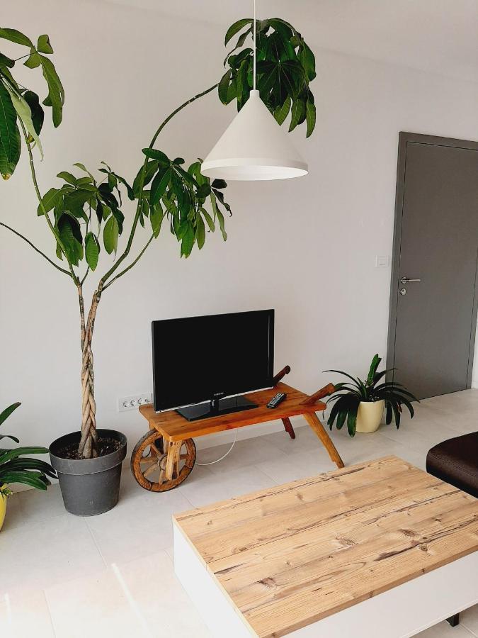 Green Bee-apartment in a quiet neighbourhood Lesce  Exterior foto